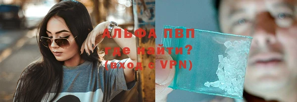 индика Балахна