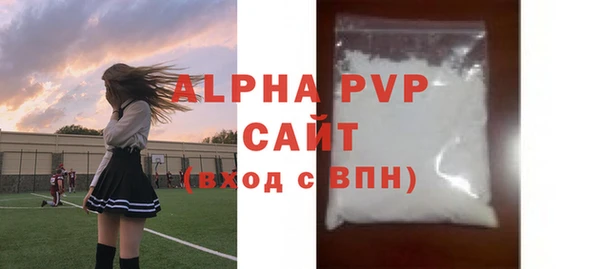 индика Балахна