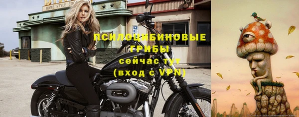 индика Балахна