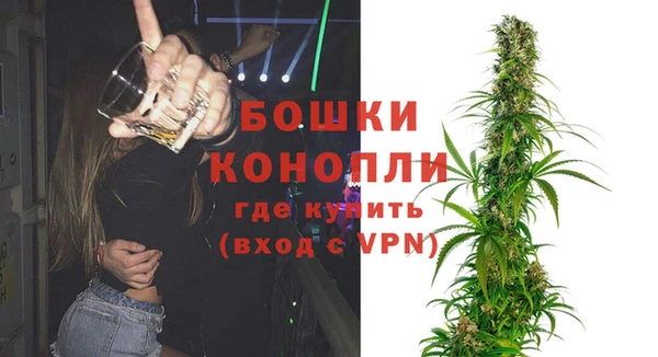 индика Балахна